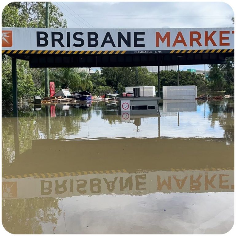 flooded brisbane rocklea markets