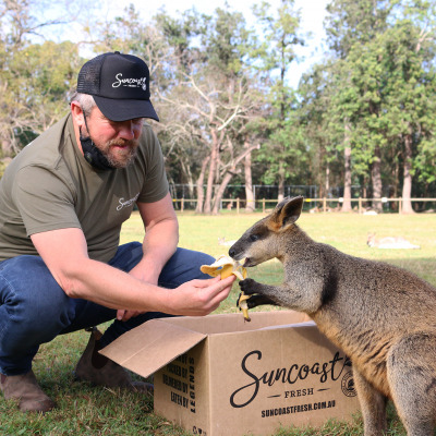 COVID-19 Lockdown Threatens Food Supplies at Lone Pine Koala Sanctuary