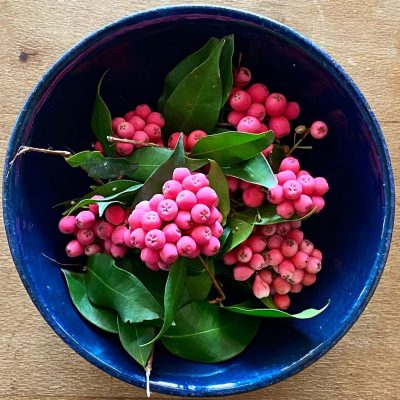Lilly Pilly Berries: Australia’s Not So Hidden Gems