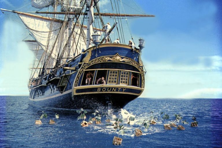 The Mutiny on The Bounty