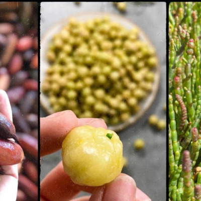 Fingerlimes, Lemon Aspen and Green Karkalla