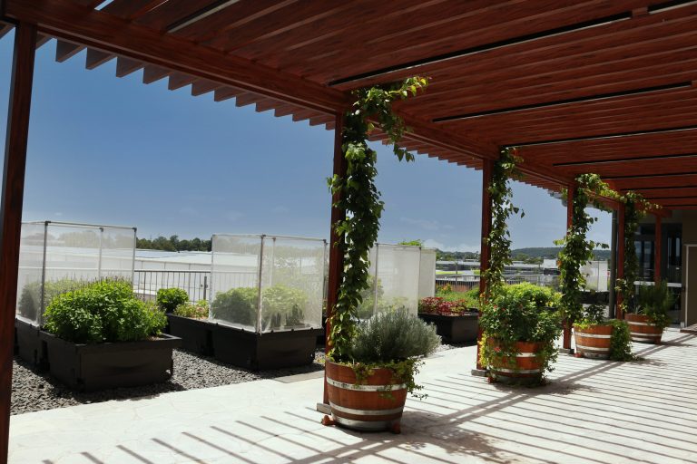 rooftop-garden