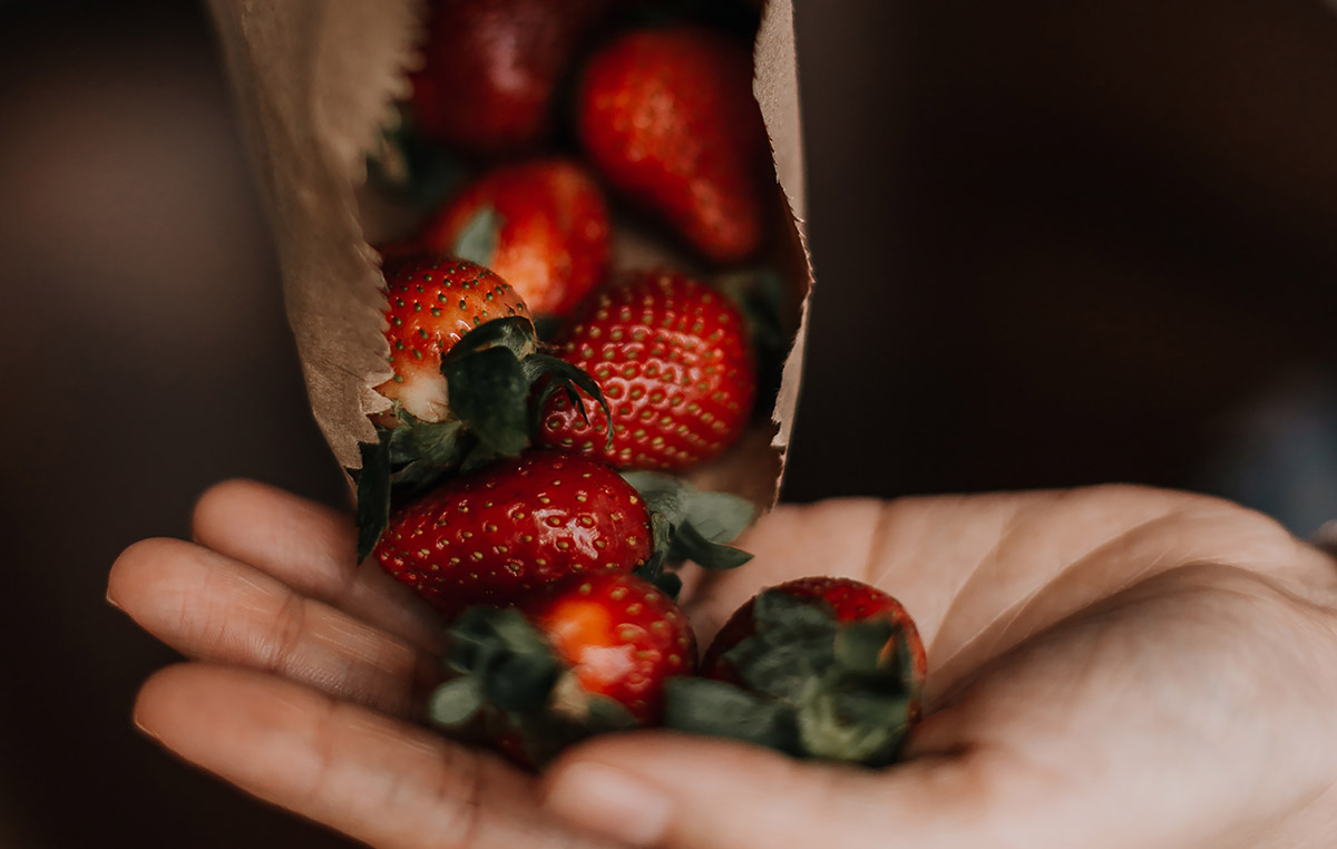 Strawberries Right Here on the Sunshine Coast?! Trust Us, They’re Berry ...